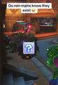 Rein mains are something